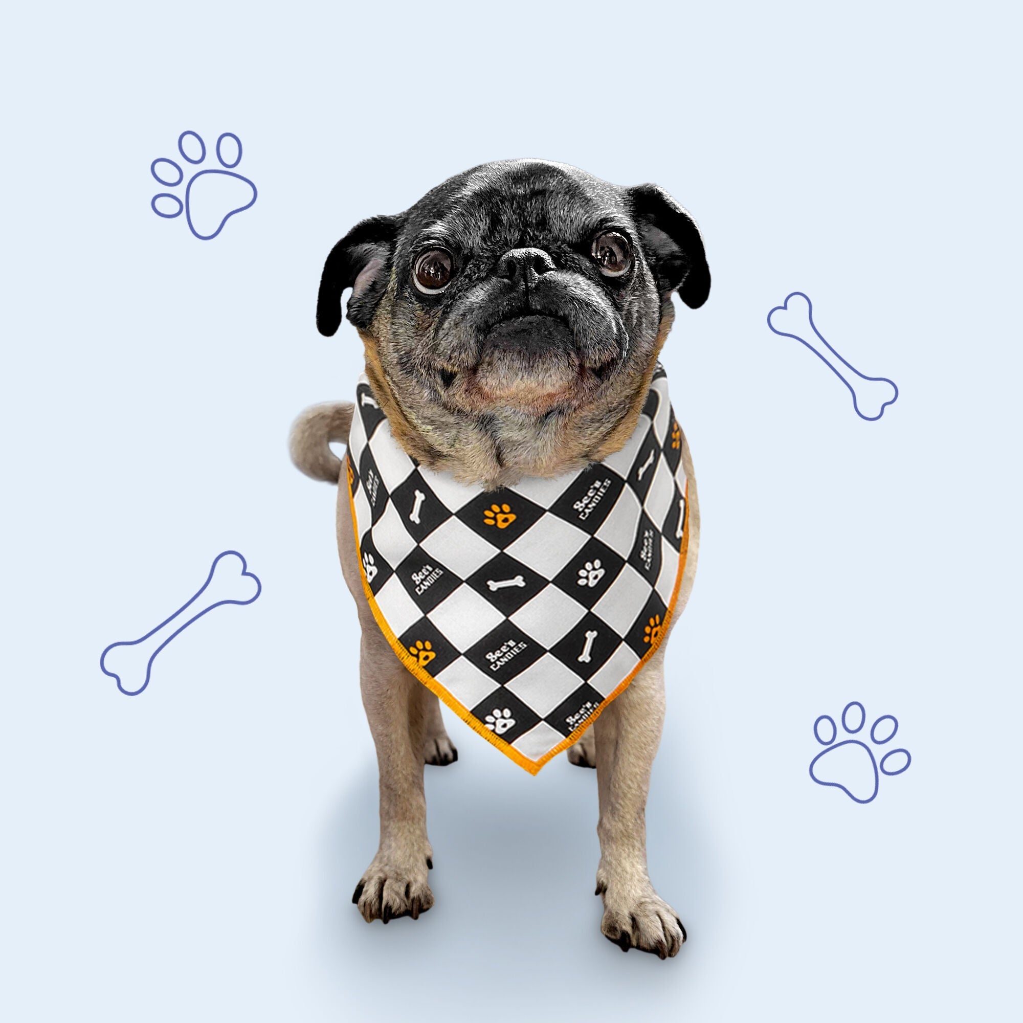 Dogust Bandana